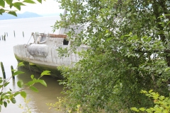 Plainview (117)
