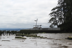 Plainview (2)