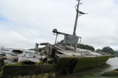 Plainview (23)