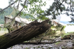 Plainview (35)
