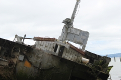 Plainview (37)