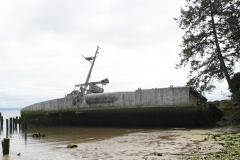 Plainview (5)