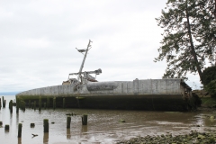 Plainview (59)
