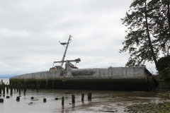 Plainview (63)