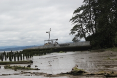 Plainview (93)