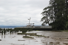Plainview (96)