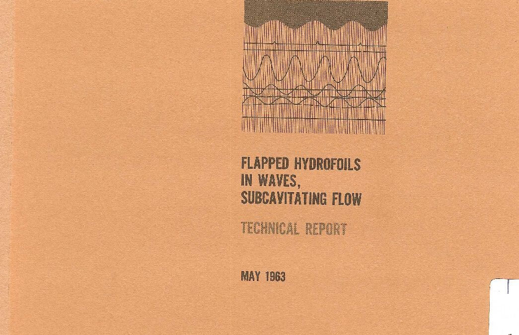 Flapped Hydrofoils In Waves Subcavitating Flow 0183